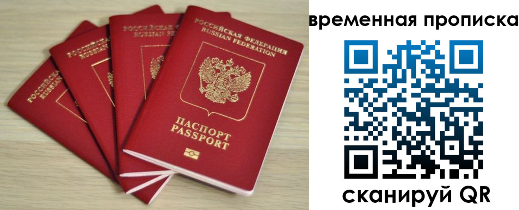прописка для школы в Сафоново