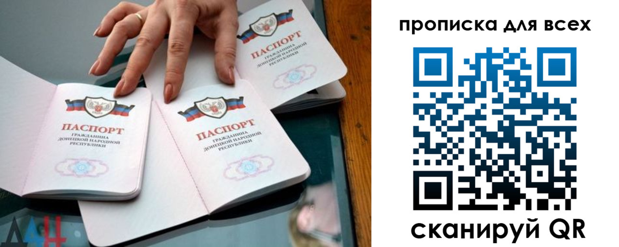 прописка гарантия в Сафоново